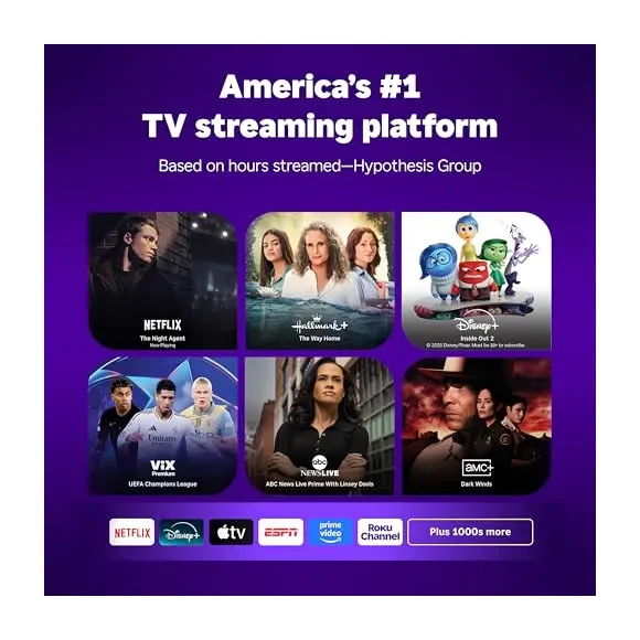 Roku Remote and Features
