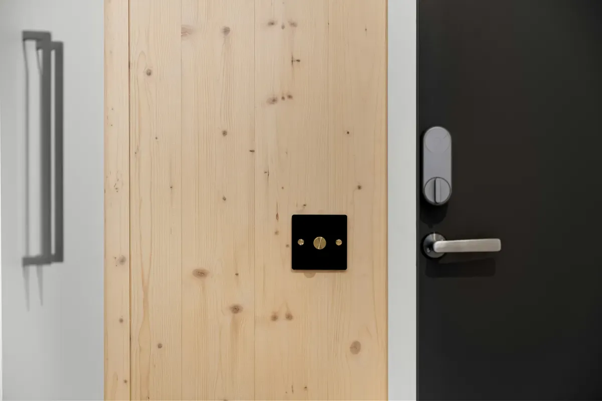 A black handle set into a dark wooden door