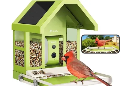 Birdfy Hum Bloom - AI Bird Camera Feeder with Alerts