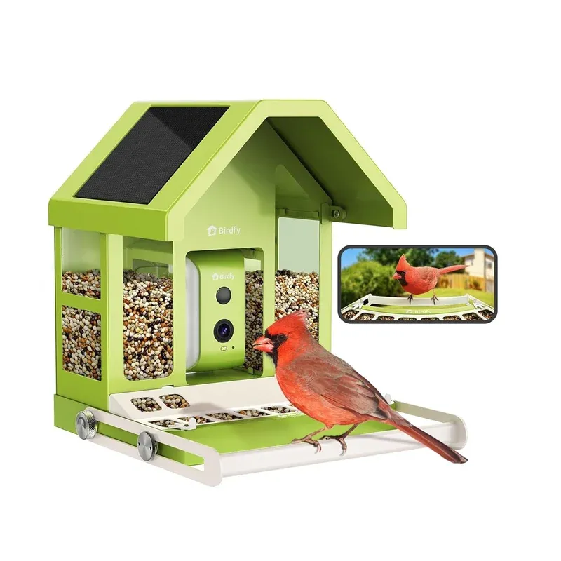 Birdfy Hum Bloom - AI Bird Camera Feeder with Alerts