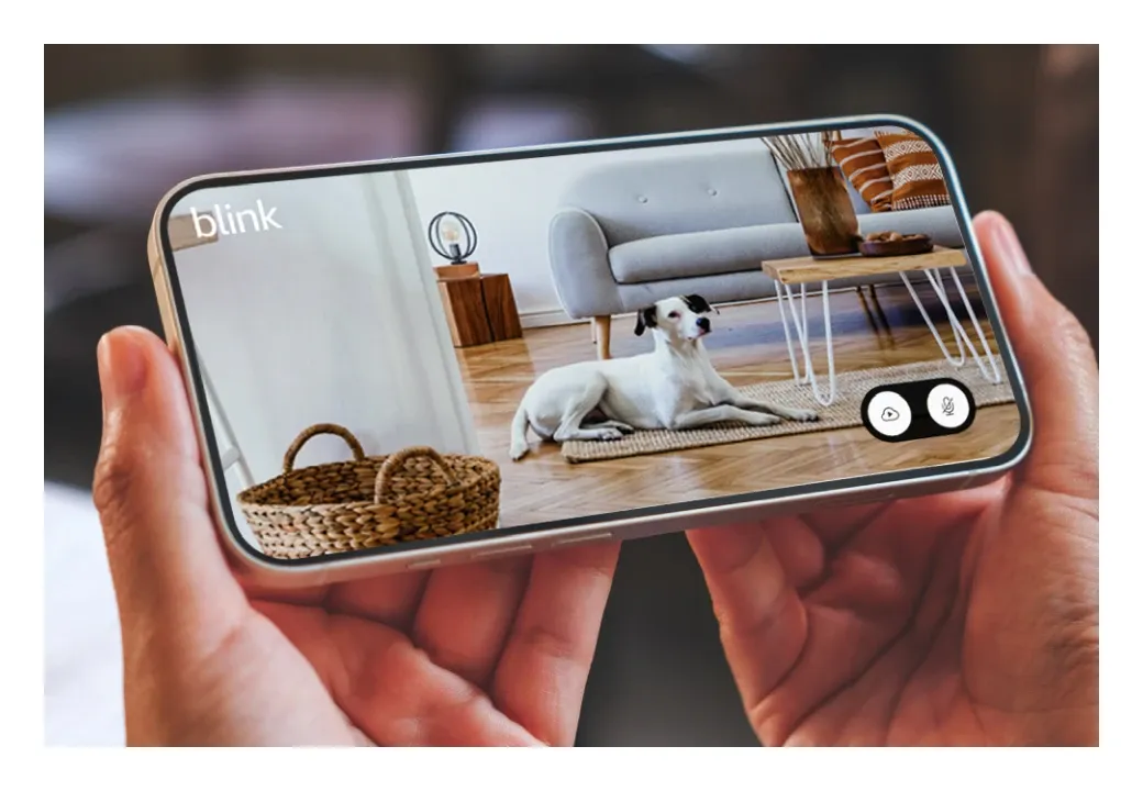 Blink Mini 2 extended live view feature