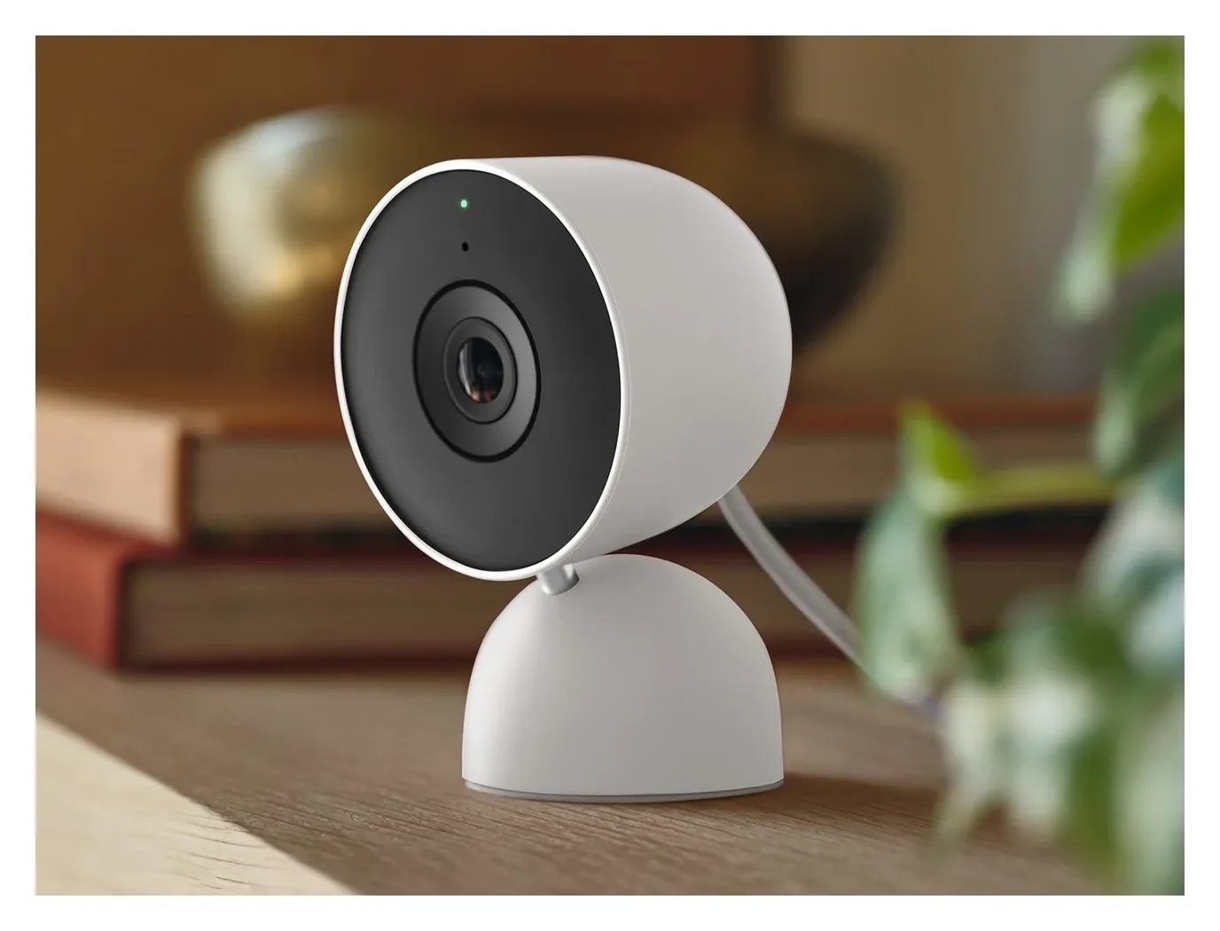 Google Nest Cam Indoor AI event detection showing person and pet classification alerts