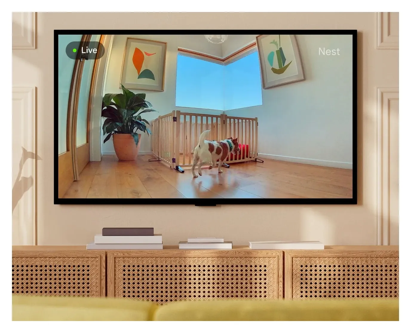 Google Nest Cam Indoor night vision showing clear footage in low-light conditions