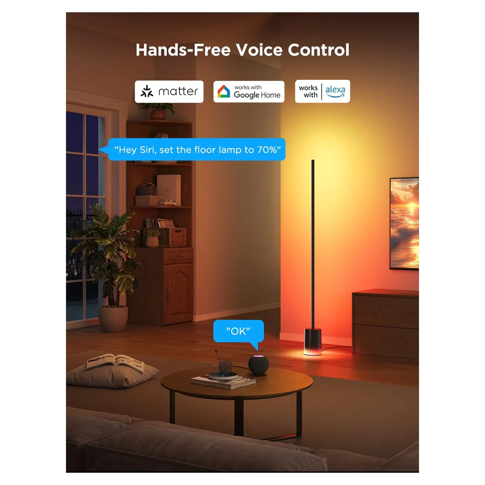 Govee Home App Control Interface