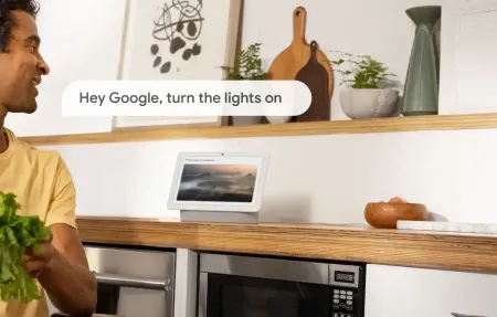 Google Home Gemini Update