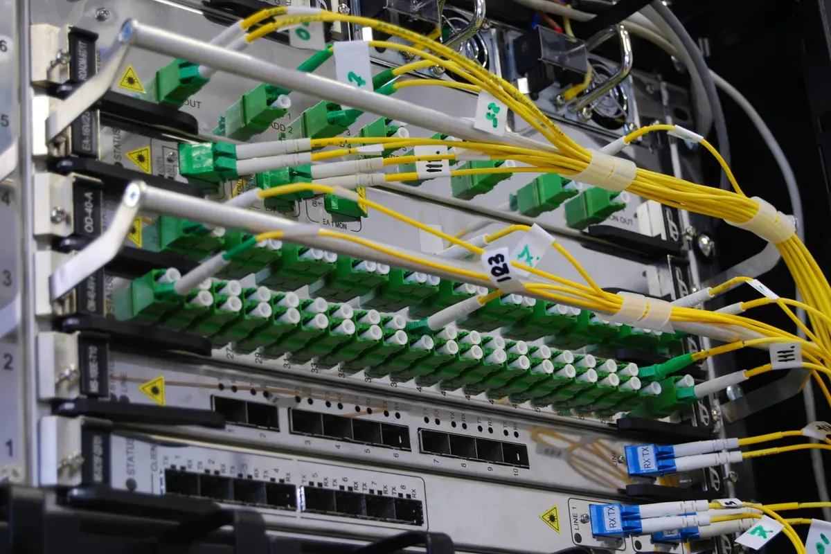 Network cables connected to a switch in a server rack