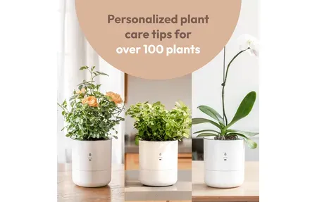 LeafyPod Smart Plant Pot - AI Self-Watering System