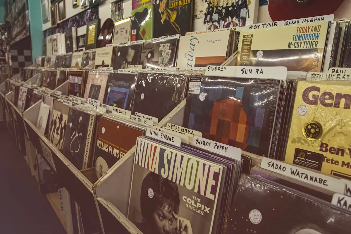 A row of records on display along a lit shelf in a home collection