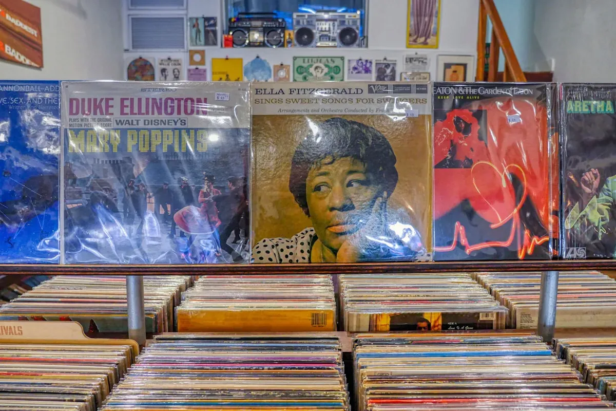 Rows of vinyl records displayed upright on well-lit shelving in a curated collection