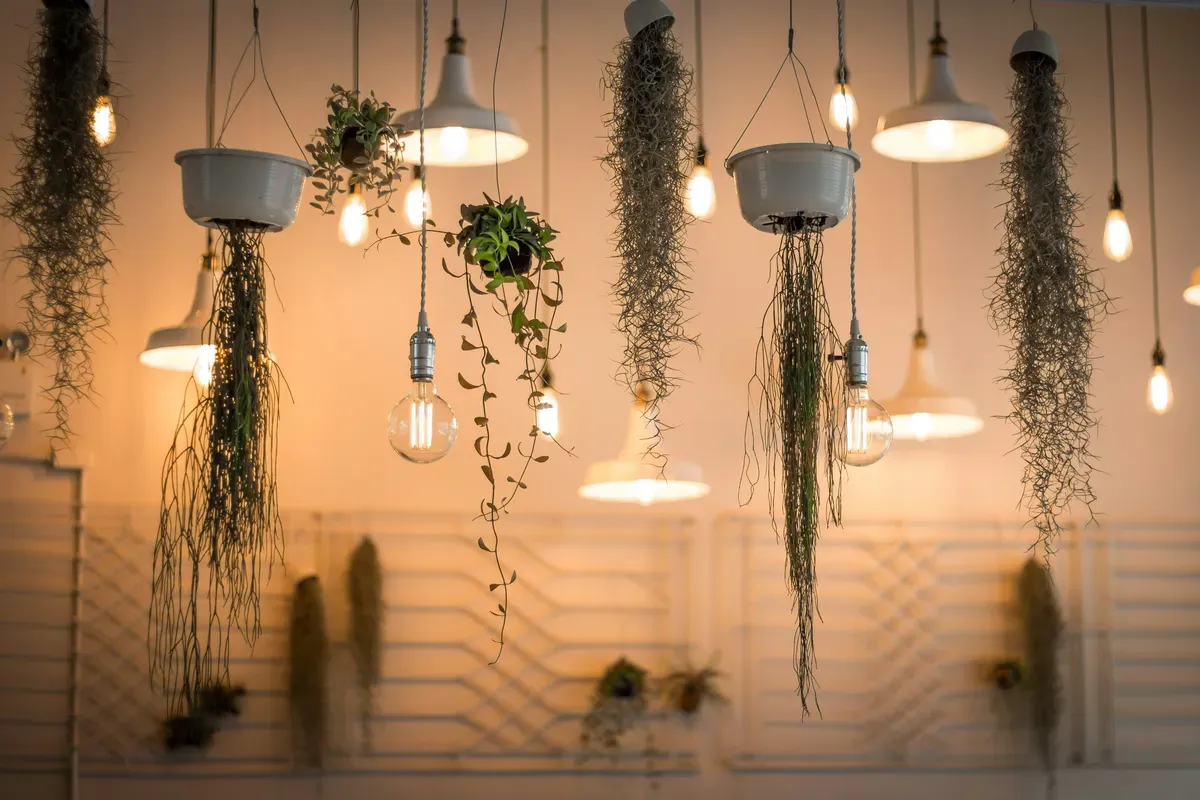 Bare filament bulbs hanging on long cords above a room