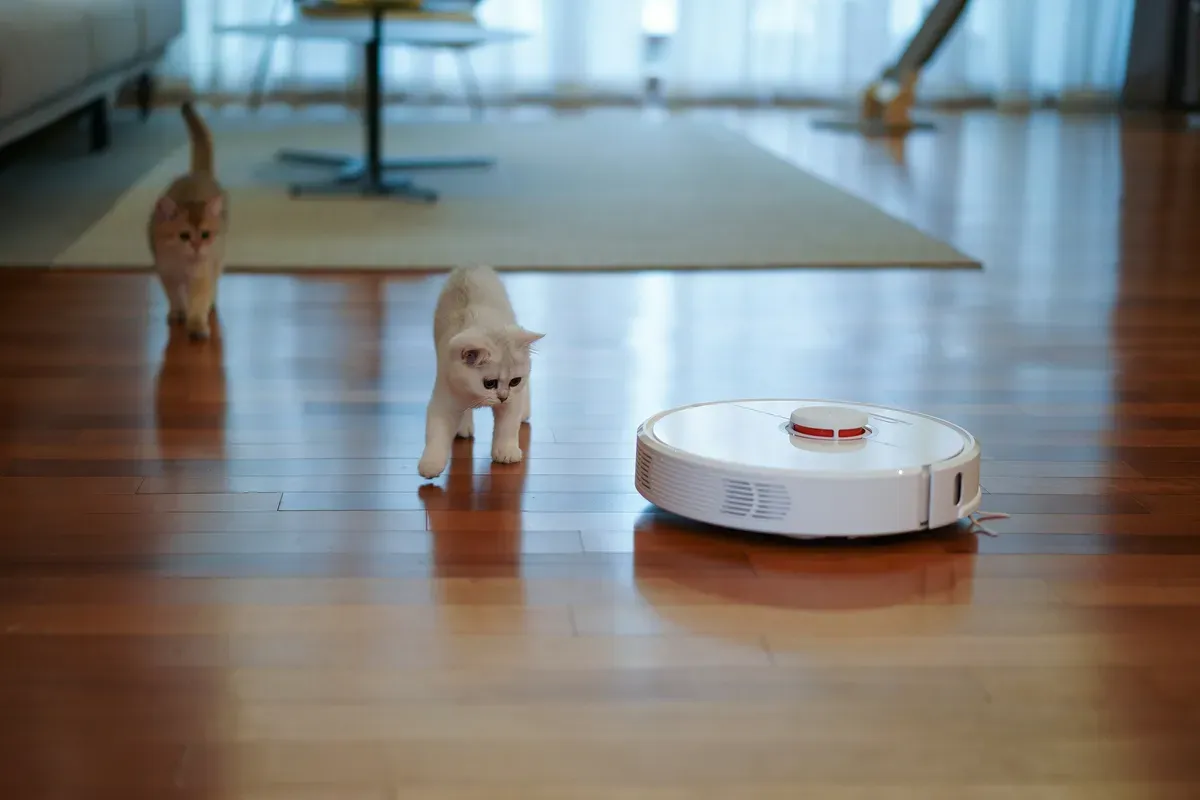 A robot vacuum working across polished hardwood while two cats watch it