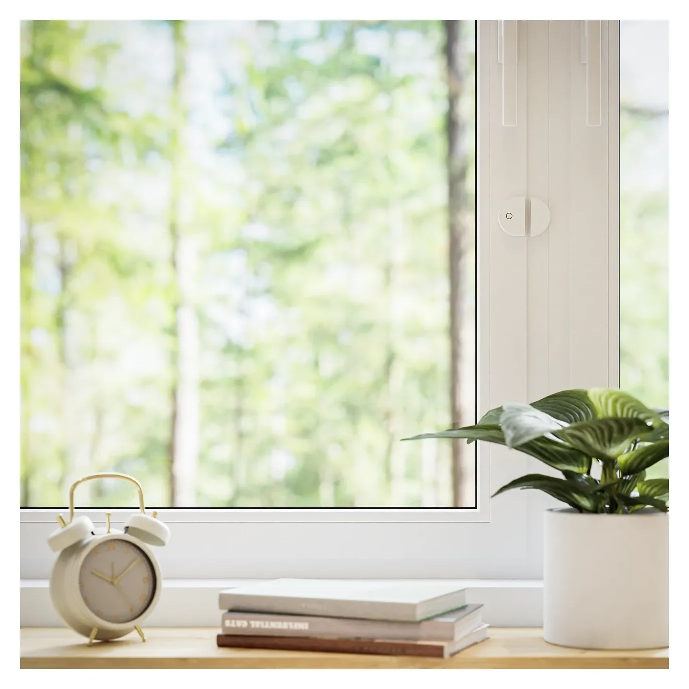 TUO Contact Sensor with Matter Thread Support Review