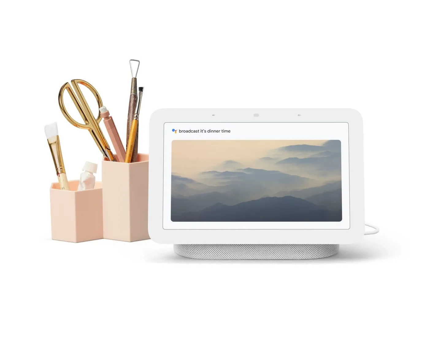 Google Nest Hub