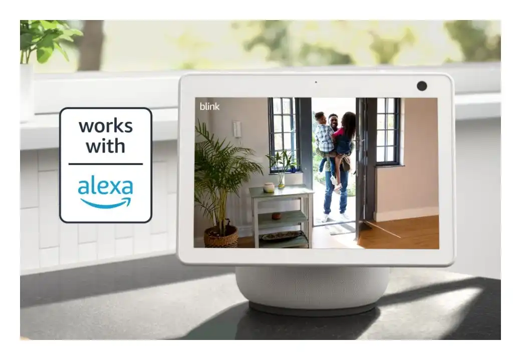 Blink Mini 2 Alexa integration