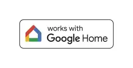Works with Google Home
