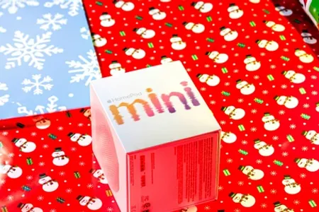 Top Smart Home Gadgets for Holidays