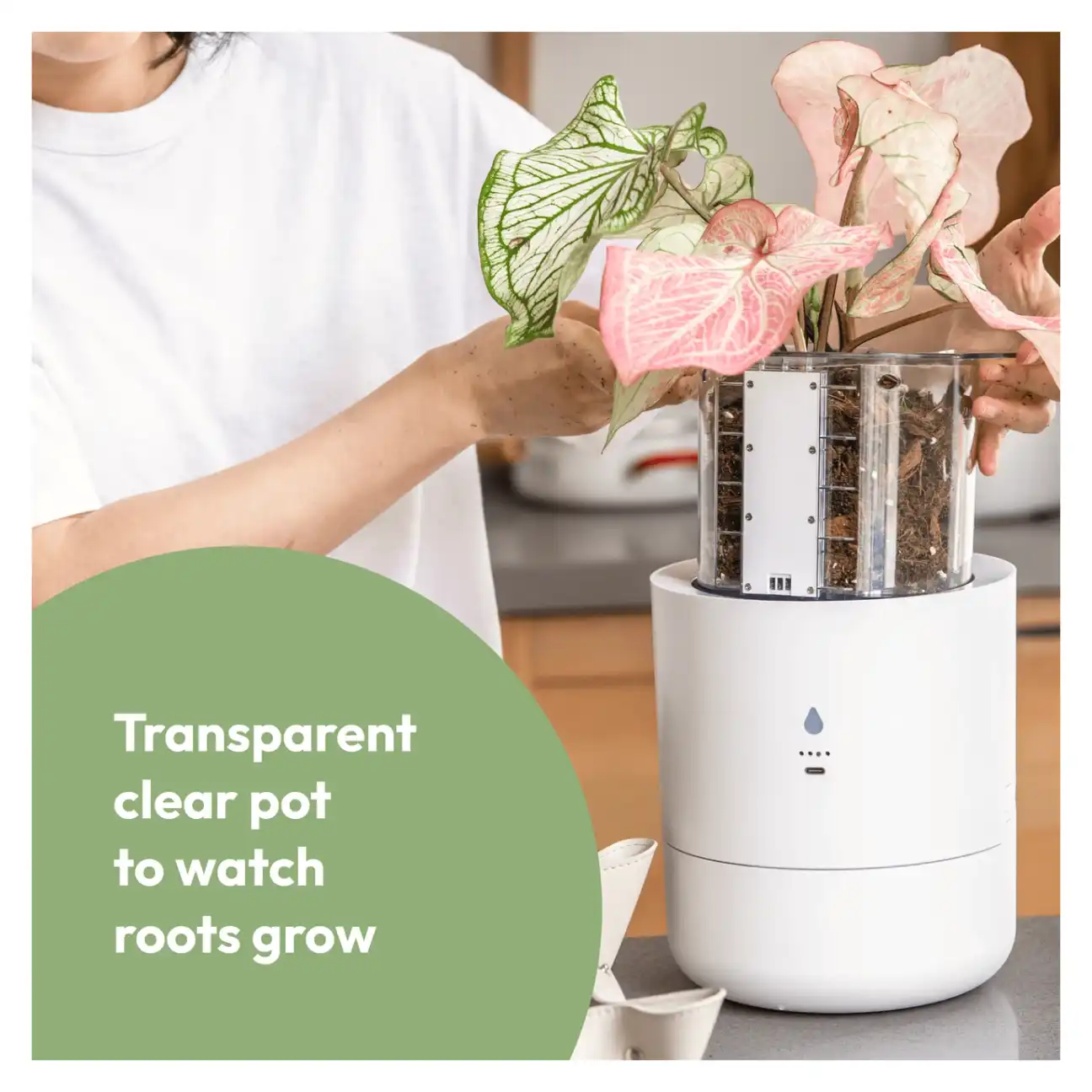 LeafyPod Planter Details and Design