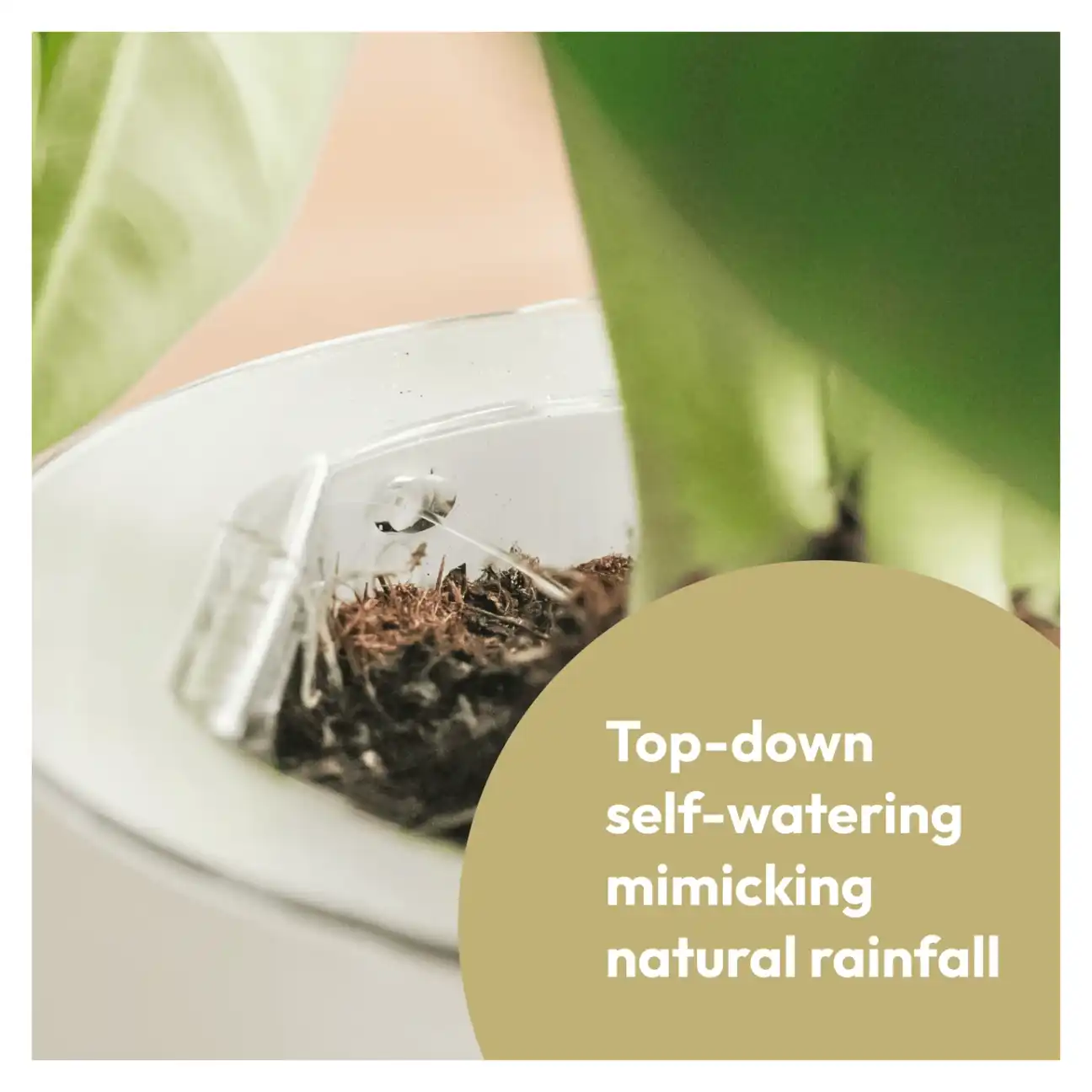 LeafyPod Planter Close-Up Details