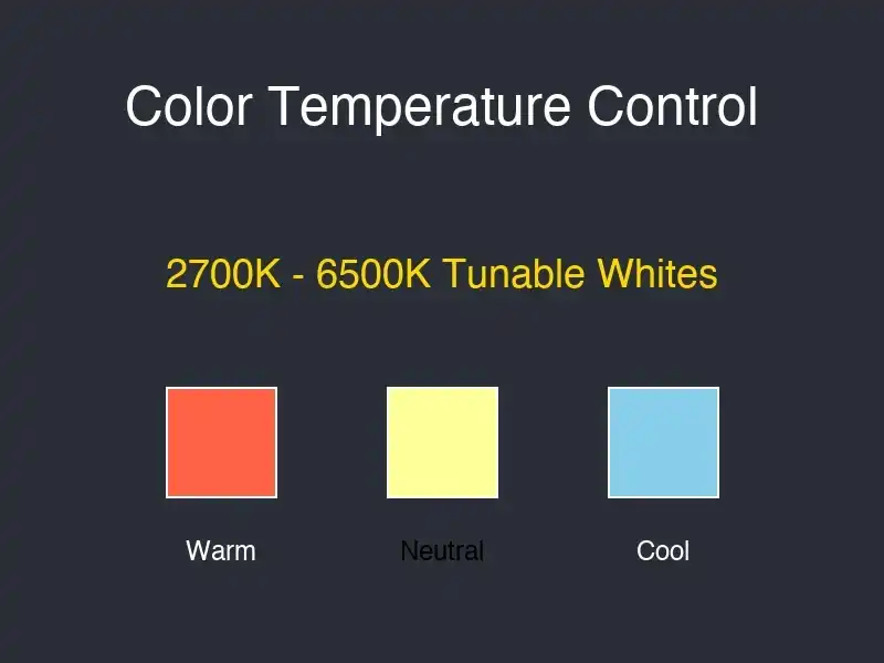 Color Temperature Control Options