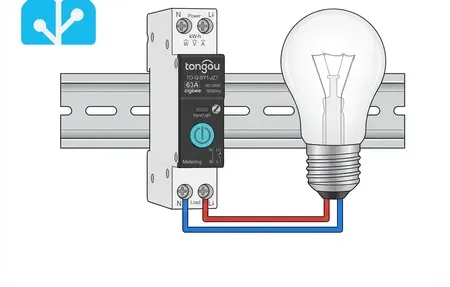 Connect TONGOU Switch to Home Assistant