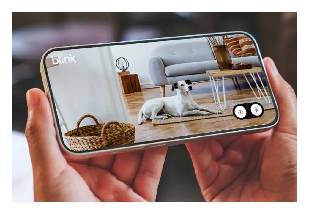 Blink Mini 2 extended live view feature