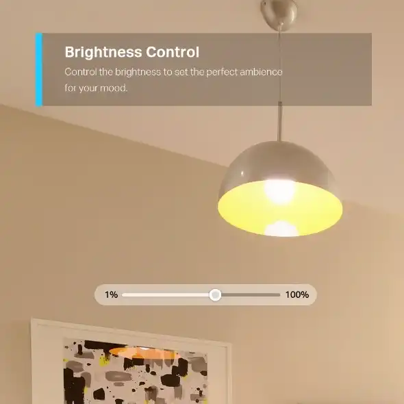 Brightness Control Demo
