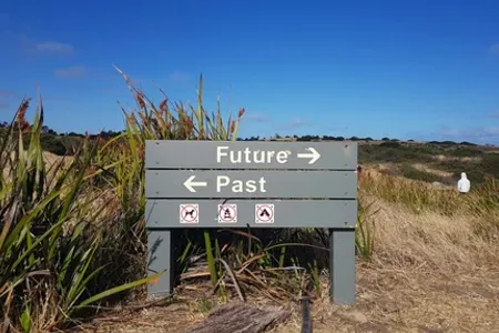 The Future of Smart Switches in Home Automation