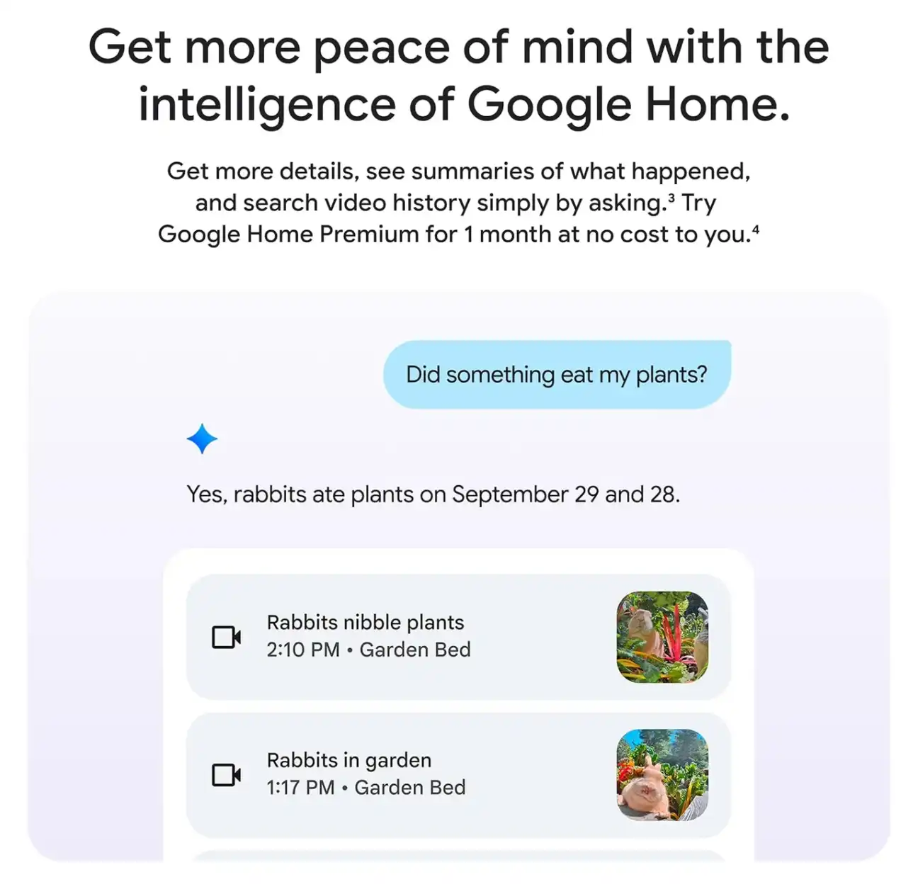 Google Home AI intelligence example