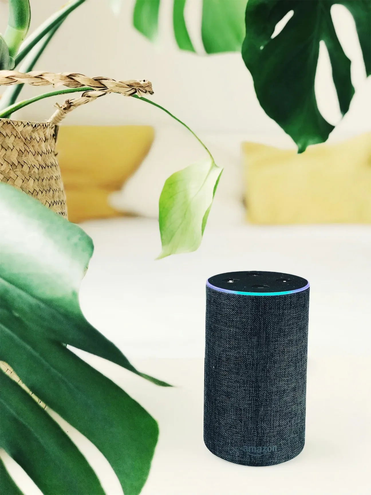 Amazon Smart Home Evolution Guide